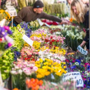 columbia flower market columbia flower market